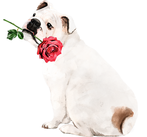 Tafelzier Lyboise Hund